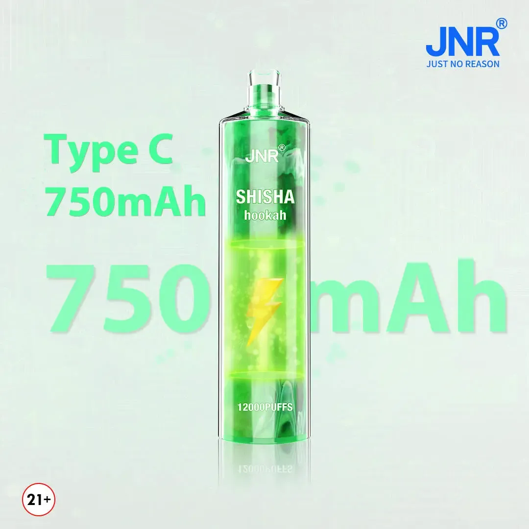 JNR（ジェイエヌアール） Shisha Hookah 使い捨て電子タバコ 12000口（ 全12種類の味） 2% ニコチン