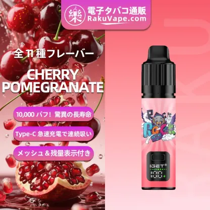 IGET（アイジェット） Bar Plus S3 プリフィルドポッド 使い捨て 10000口（ブラックベリーアイス） 2.85% ニコチン