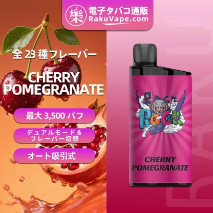 IGET（アイジェット） Bar 使い捨て電子タバコ 3500口（ラッシュアイス） 5% ニコチン  