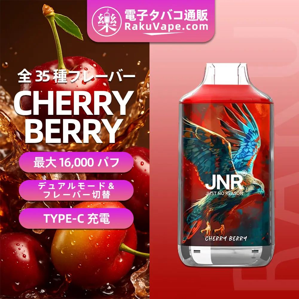 JNR（ジェイエヌアール） Falcon 使い捨て電子タバコ 16000口（全35種類の味） 2%／5% ニコチン