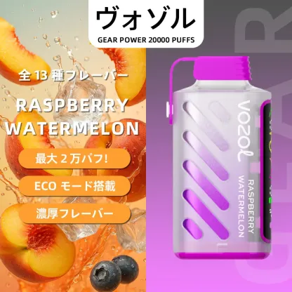VOZOL（ヴォゾル） Gear Power 使い捨て電子タバコ 20000口（ダブルアップルアイス） 5% ニコチン
