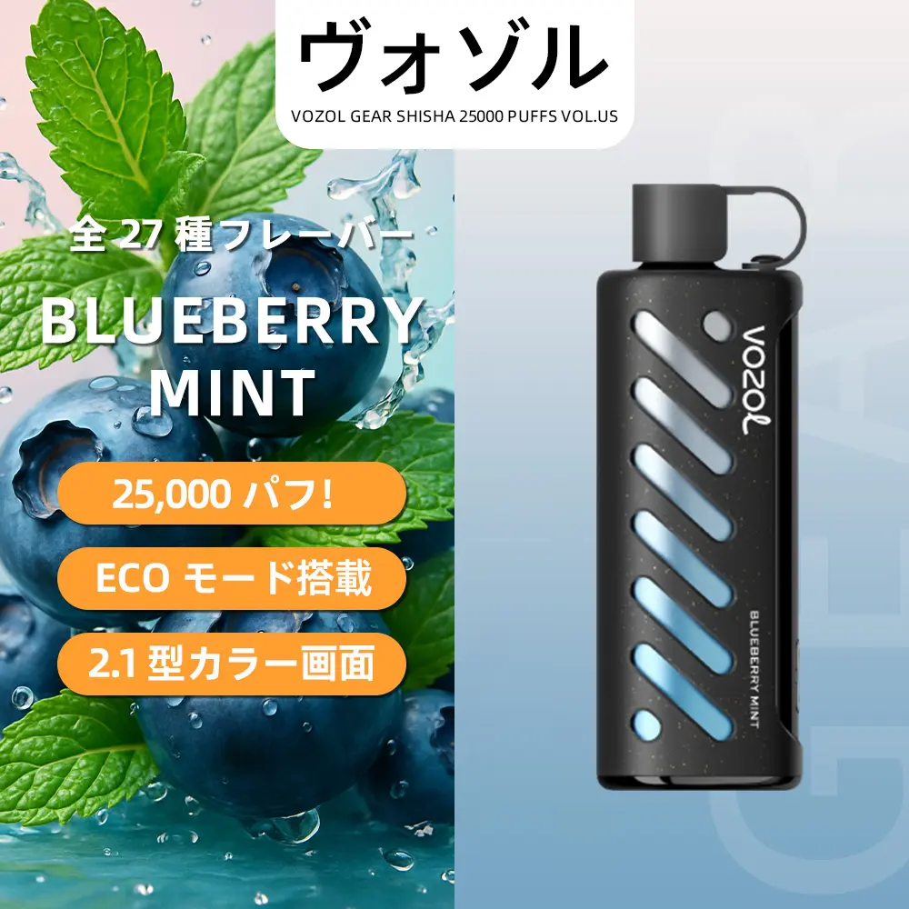 VOZOL（ヴォゾル） Gear Shisha 使い捨て電子タバコ 25000口（ブルーベリー＆ミント） 5% ニコチン