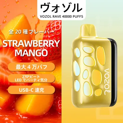 VOZOL（ヴォゾル） RAVE 使い捨て電子タバコ 40000口（ウォーターメロンアイス） 5% ニコチン