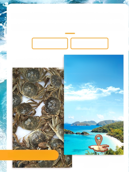 Crispy ready-to-eat small sea crab🦀 Each mini crab is rich in high-quality calcium and natural omega-3 fatty acids, with nutritional value far exceeding that of ordinary snacks.