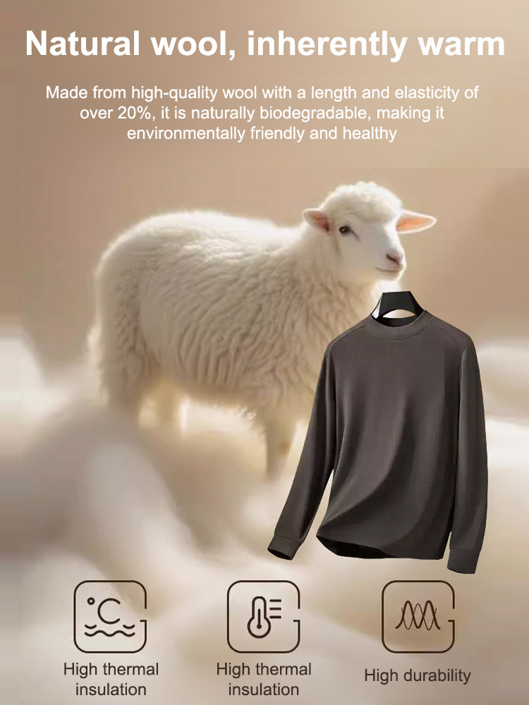 [Warm and High-Tech Insulation] Men's Winter High-Neck Sweatshirt