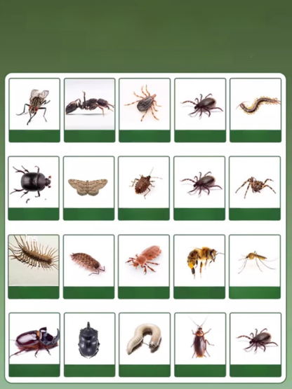 [No cockroaches within 100 meters] Anti-cockroach magic box