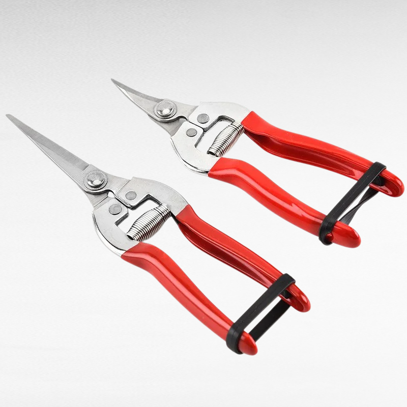 疏花葡萄採摘剪刀園藝剪枝剪