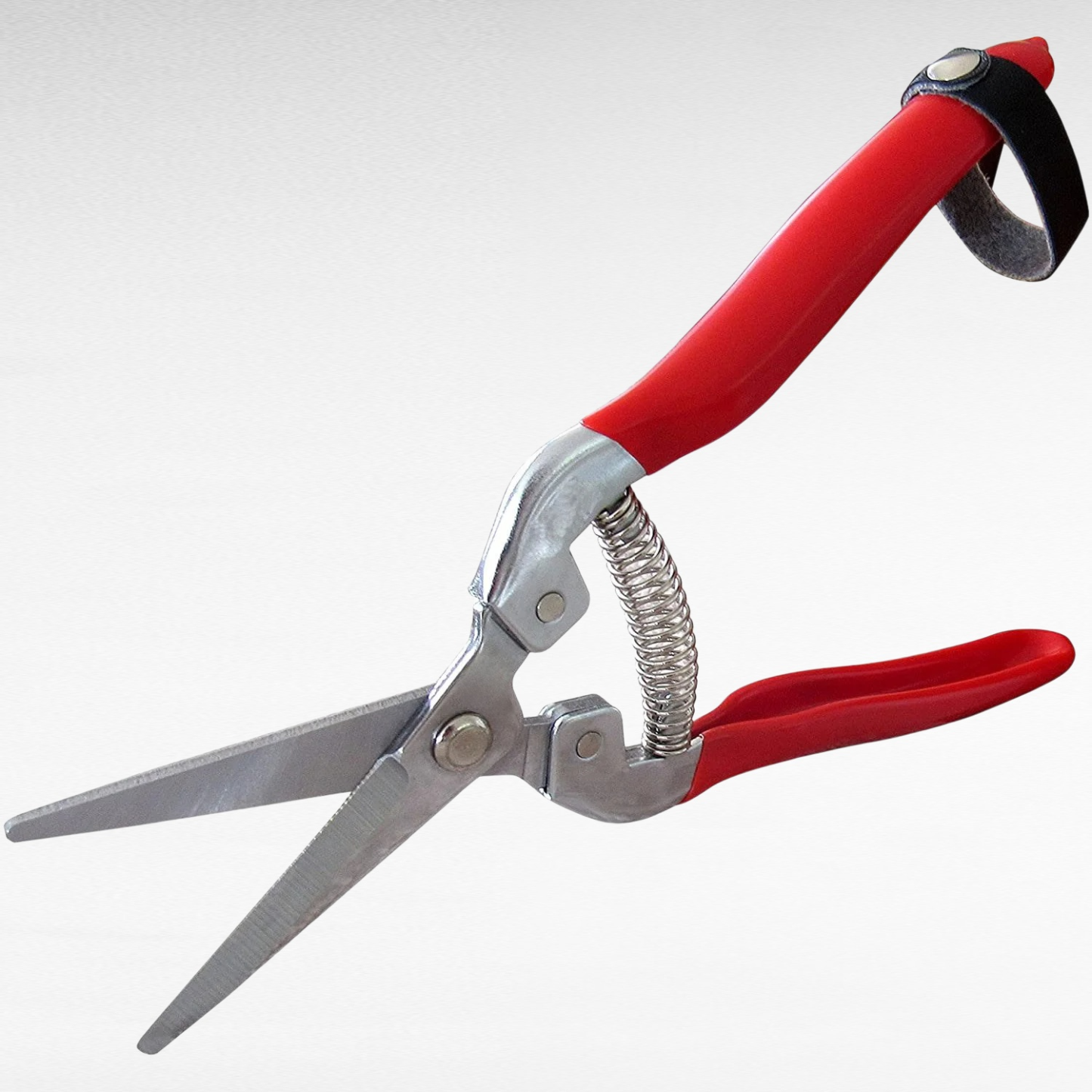 疏花葡萄採摘剪刀園藝剪枝剪