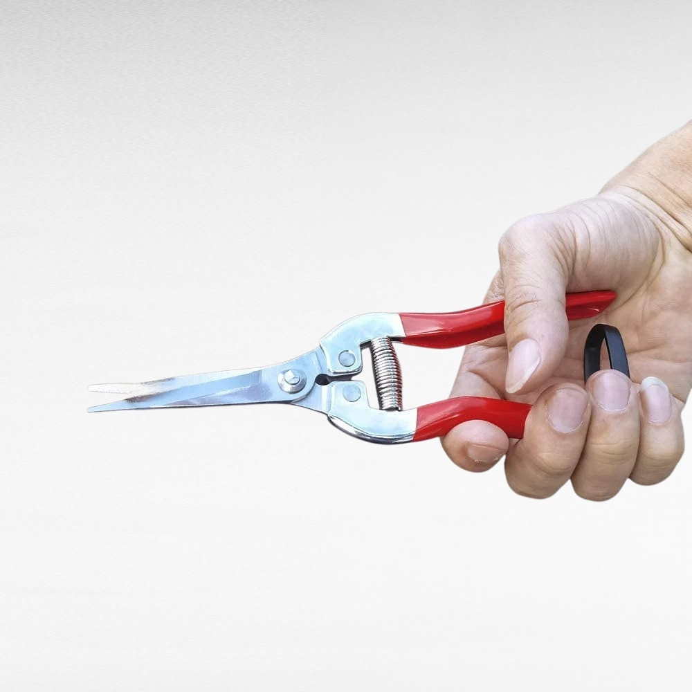 疏花葡萄採摘剪刀園藝剪枝剪