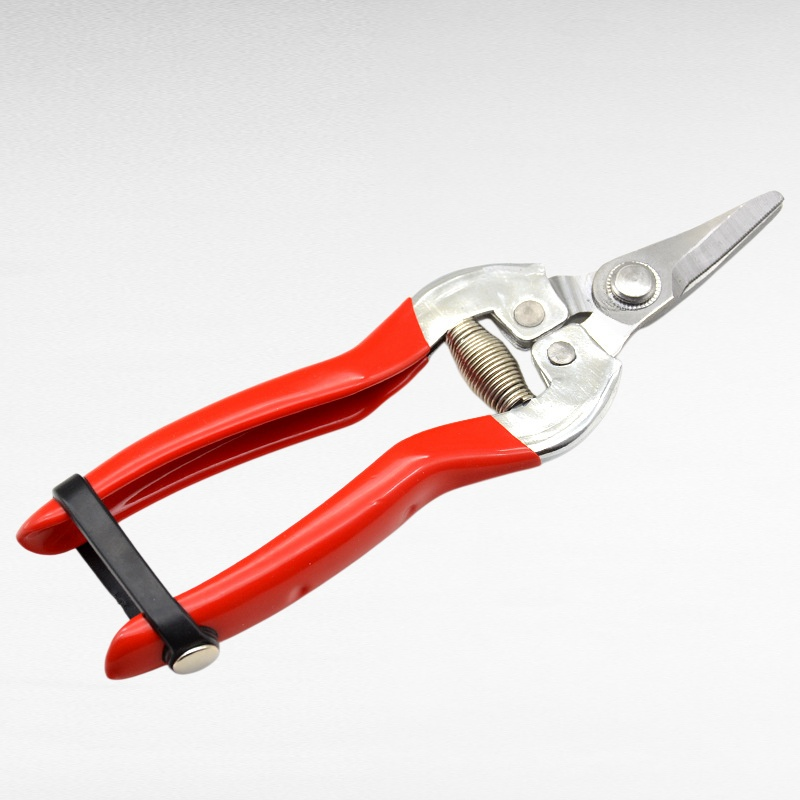 疏花葡萄採摘剪刀園藝剪枝剪