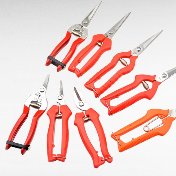 疏花葡萄採摘剪刀園藝剪枝剪