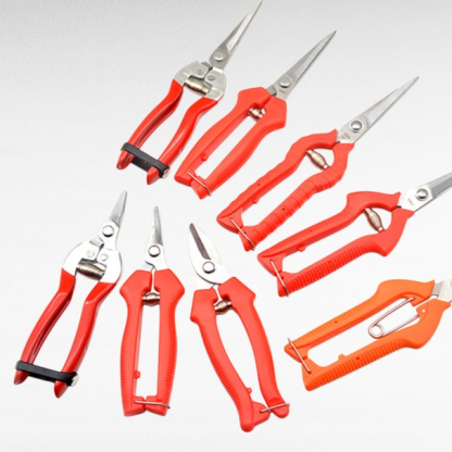 疏花葡萄採摘剪刀園藝剪枝剪