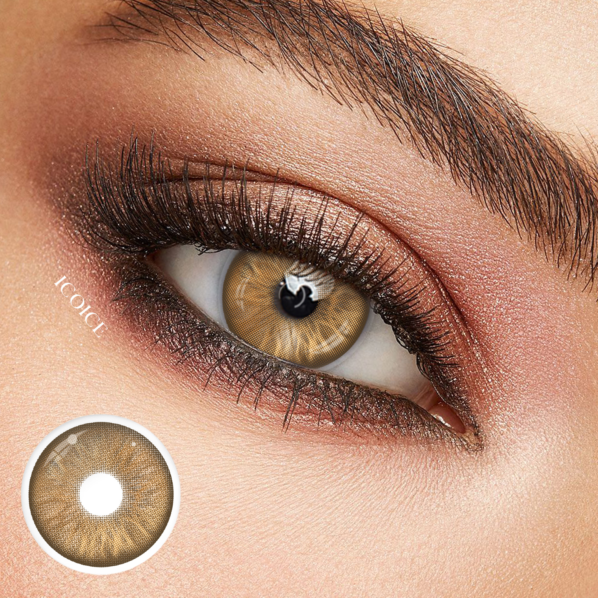 ICOICE Chergui Brown | 1 Year