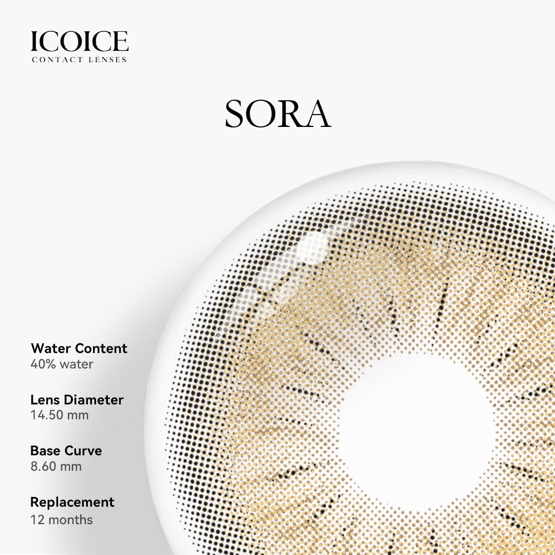 ICOICE Sora Brown | 1 Year