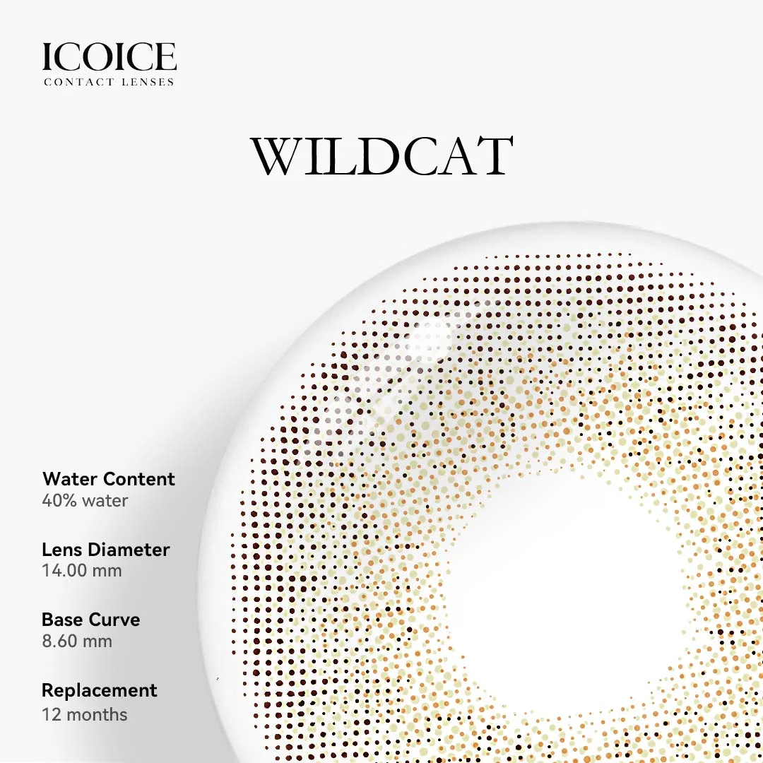 ICOICE Wildcat Brown | 1 Year