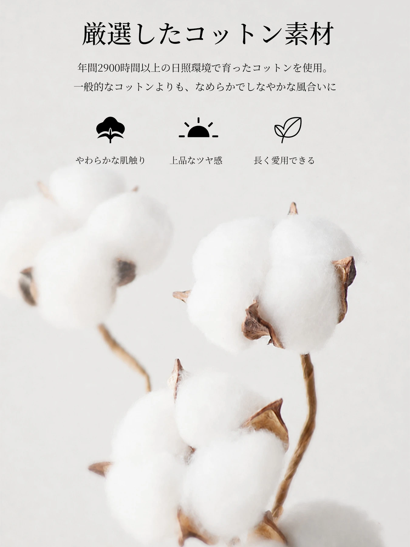 シルケットコットン素材クルーネック半袖Tシャツ