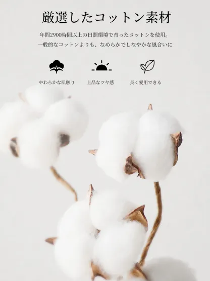 シルケットコットン素材クルーネック半袖Tシャツ