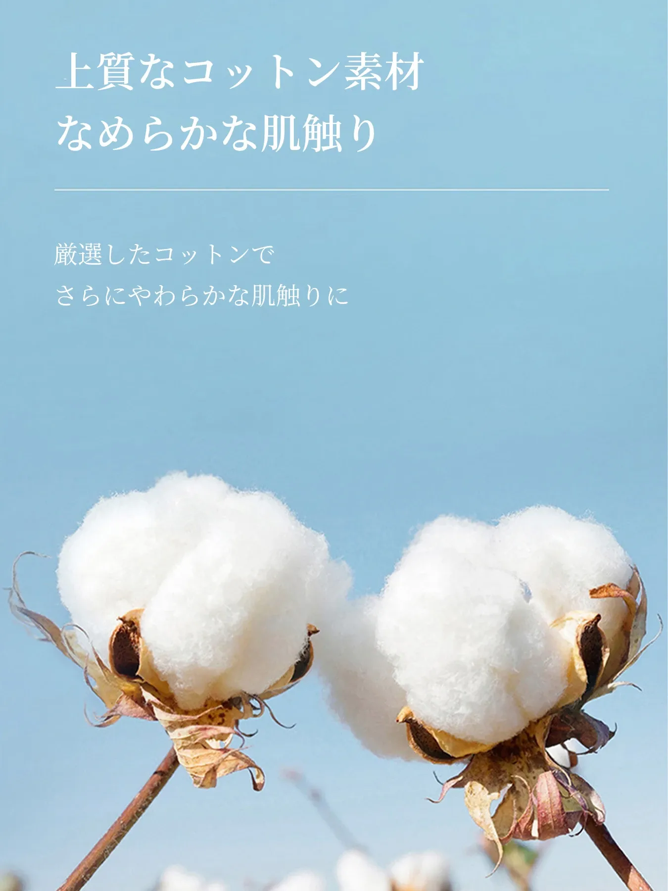 上品なレース切り替え裾デザイン半袖Tシャツ