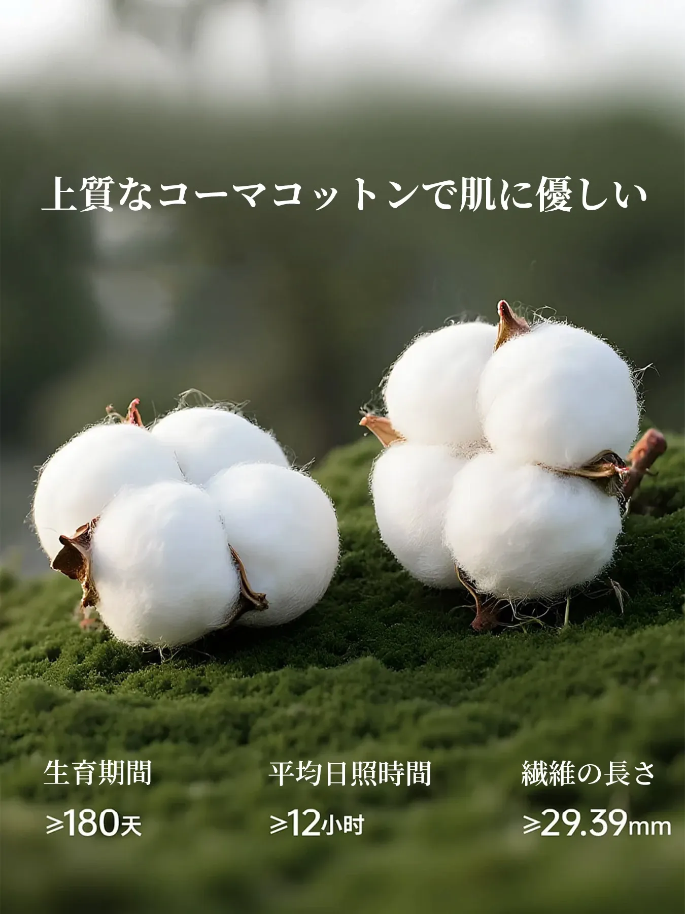 シンプルなリヨセルリネン半袖シャツ