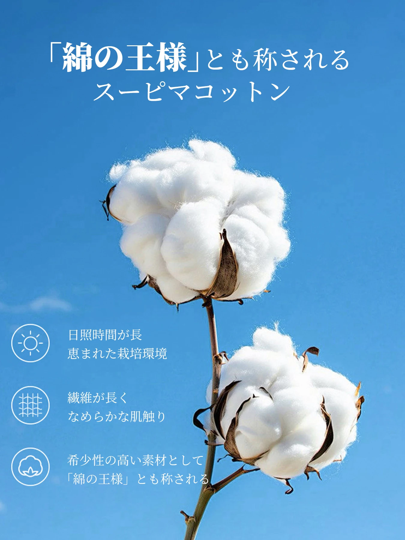 ミニマルな抗菌ノンアイロン半袖Tシャツ