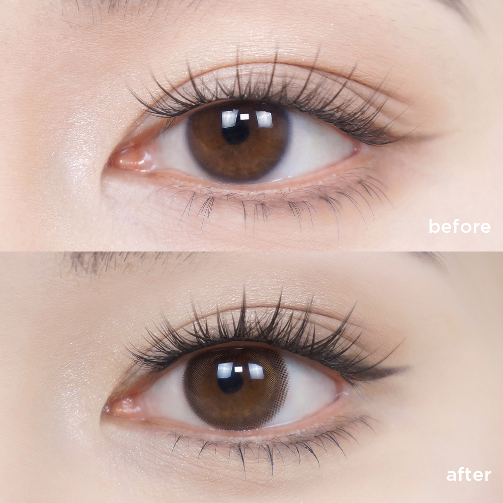 ウーロン ブラウン (1 Month)