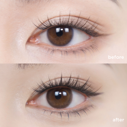 ウーロン ブラウン (1 Month)