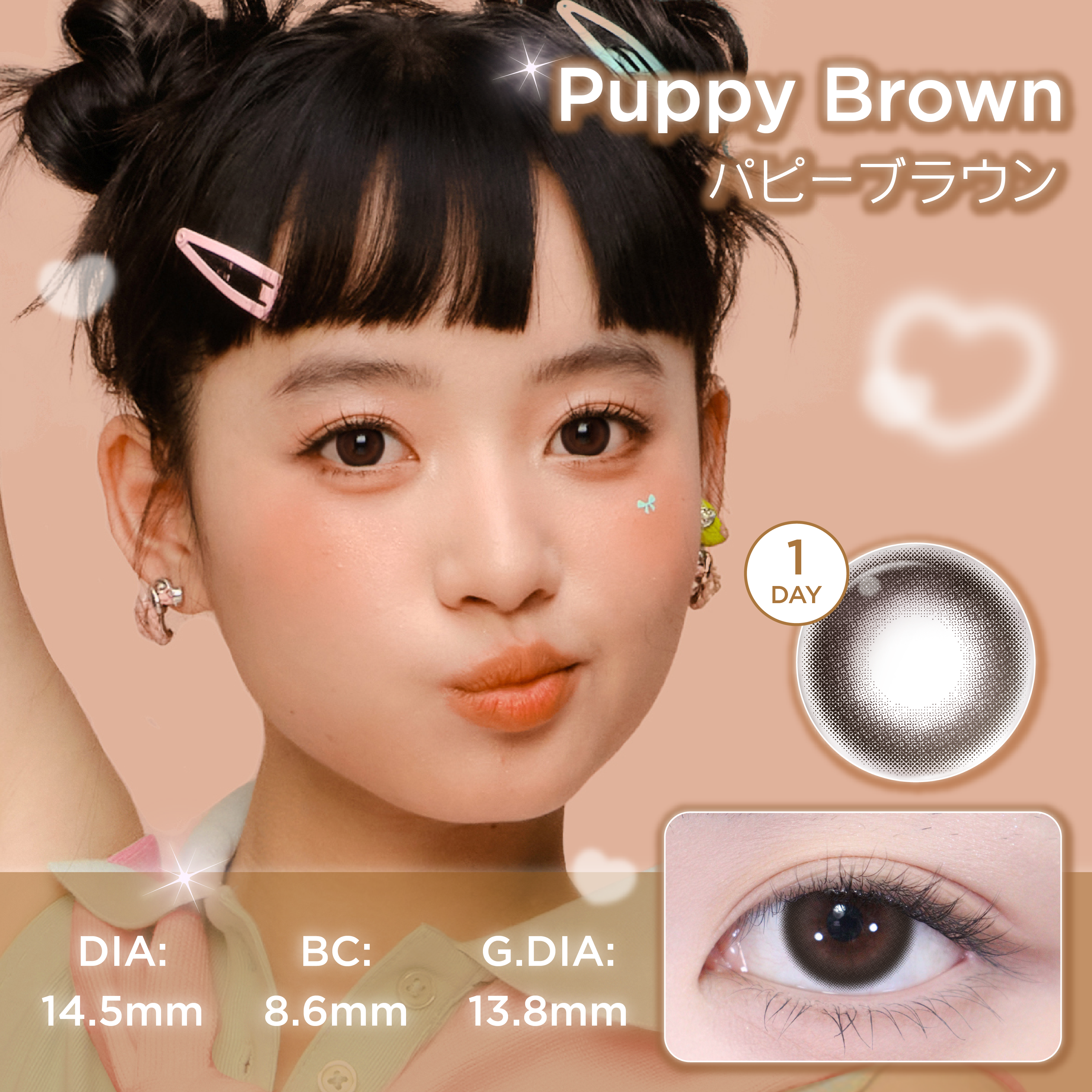 パピーブラウン