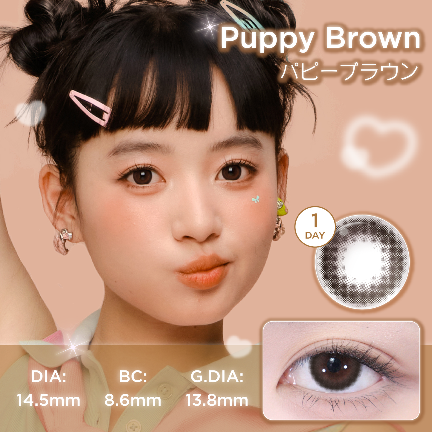 パピーブラウン