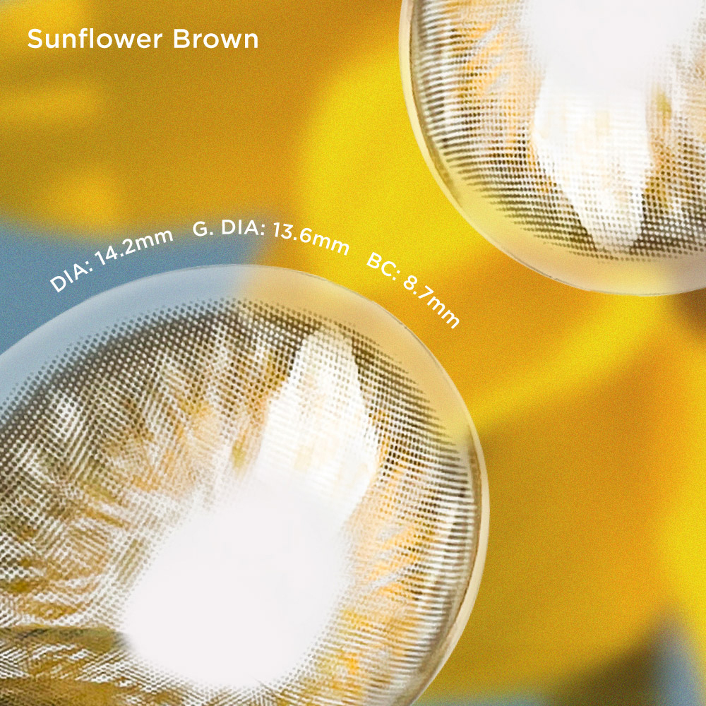 Sunflower Brown