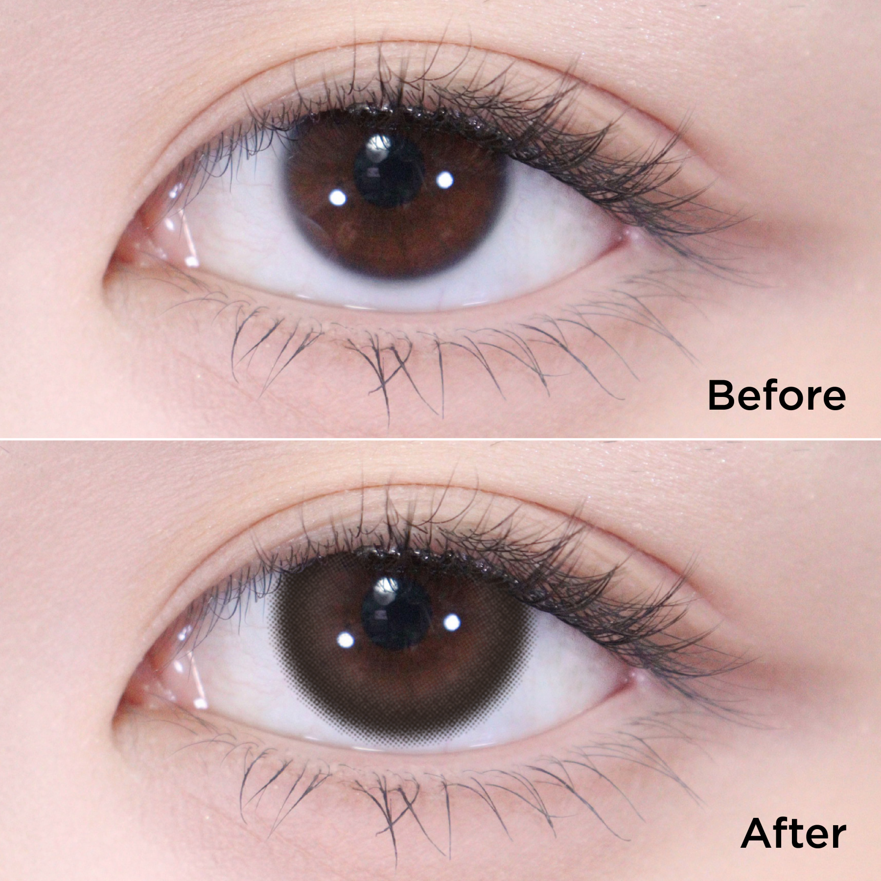 パピーブラウン