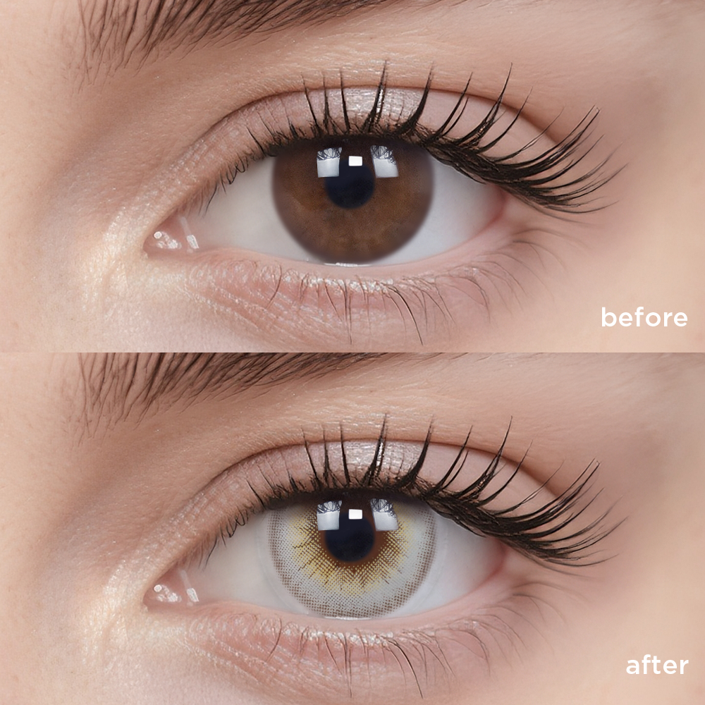 キャッチ ライト