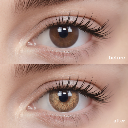 サンフラワー ブラウン