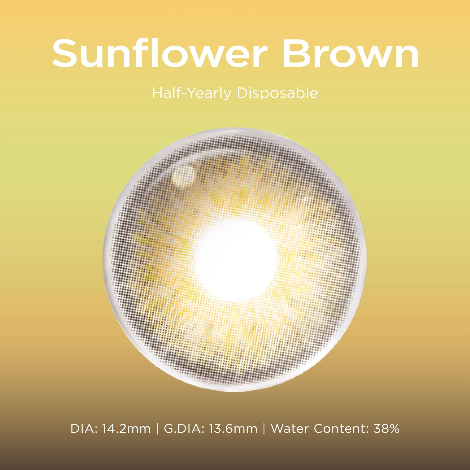 Sunflower Brown