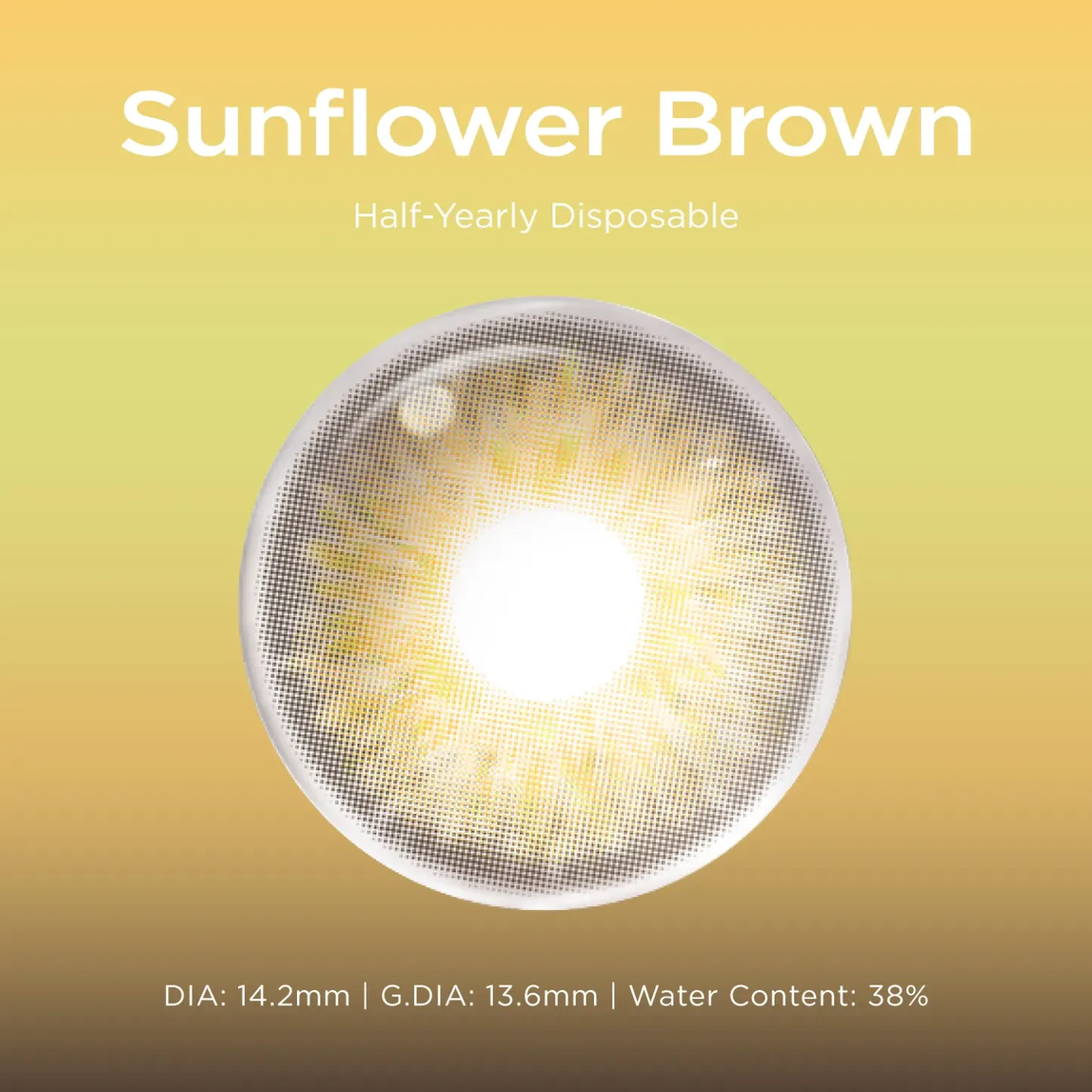 Sunflower Brown