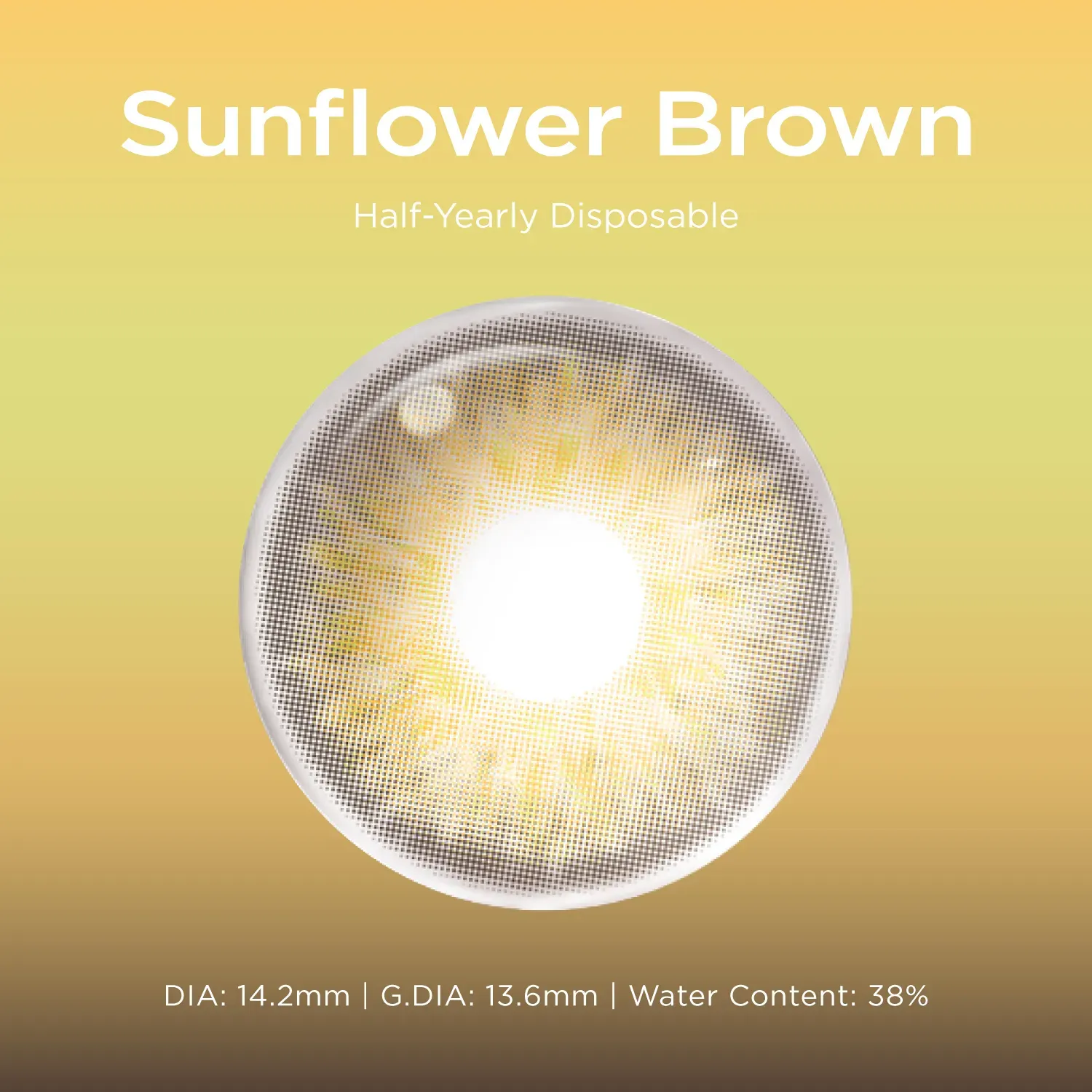 Sunflower Brown