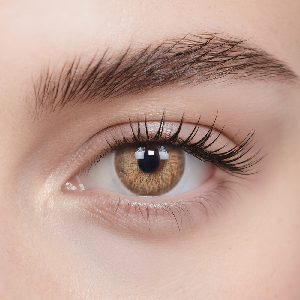 サンフラワー ブラウン