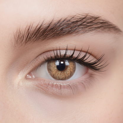 サンフラワー ブラウン