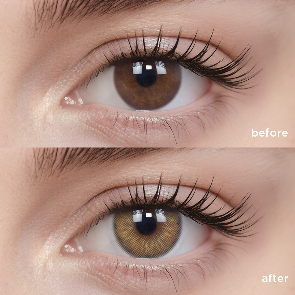 テディ ブラウン