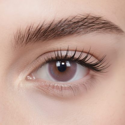 スイレン ピンク