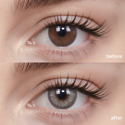 ホワイト ロータス