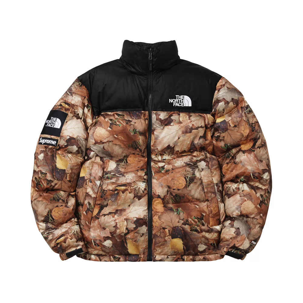 Supreme x The North Face 2016 Fall/Winter Nuptse Jacket