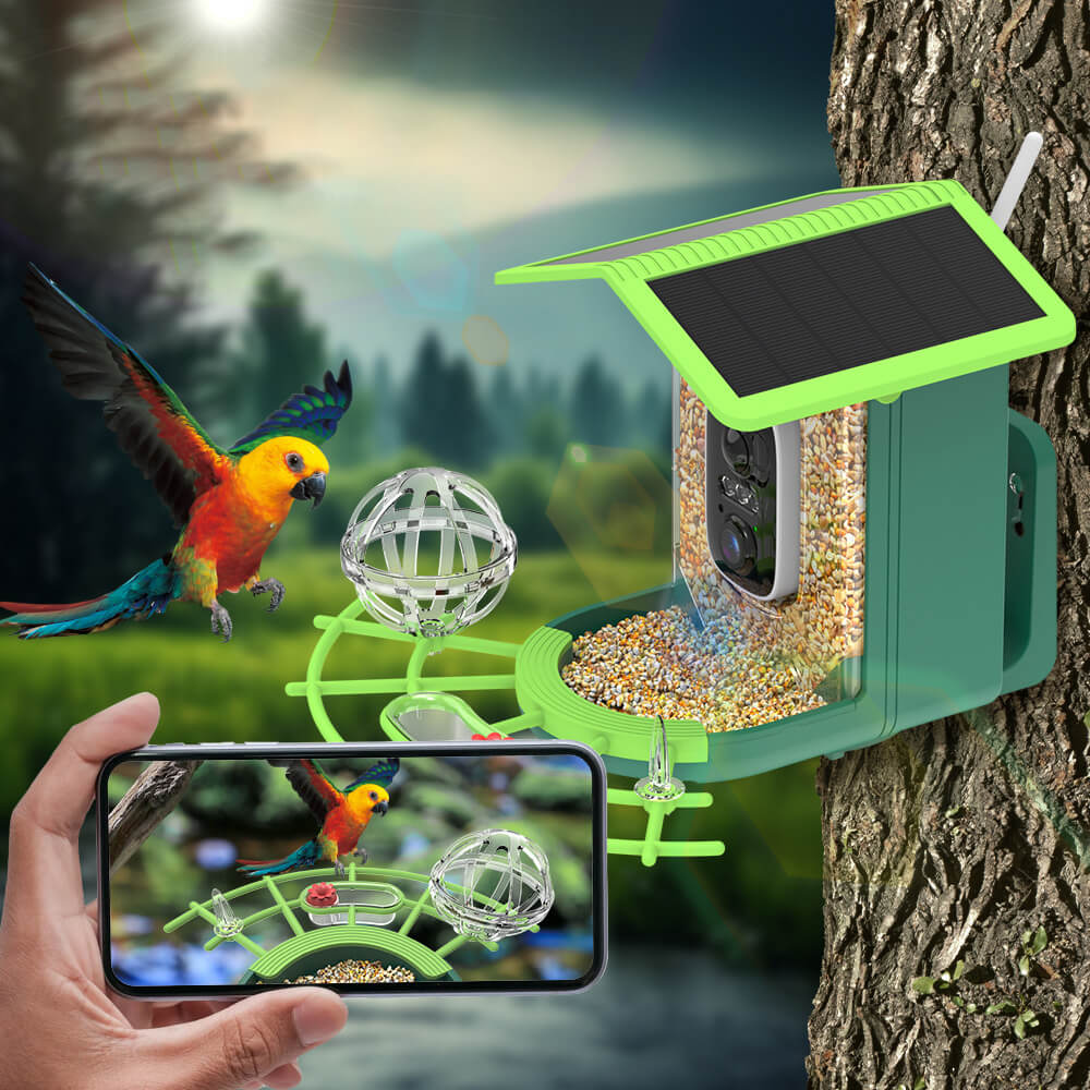 AI Smart Bird Feeder