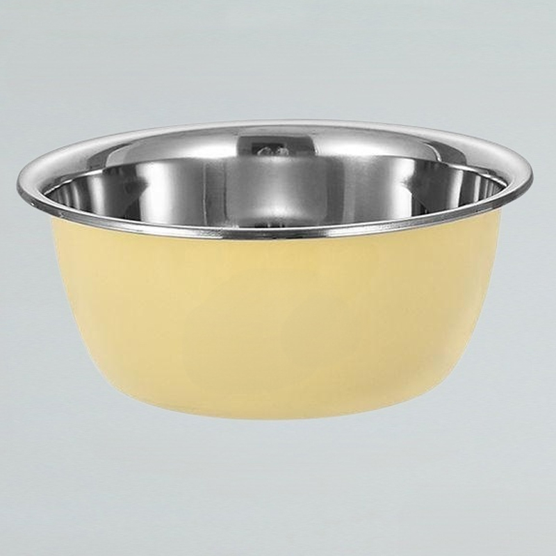 高顏值彩色盆水果洗菜盆