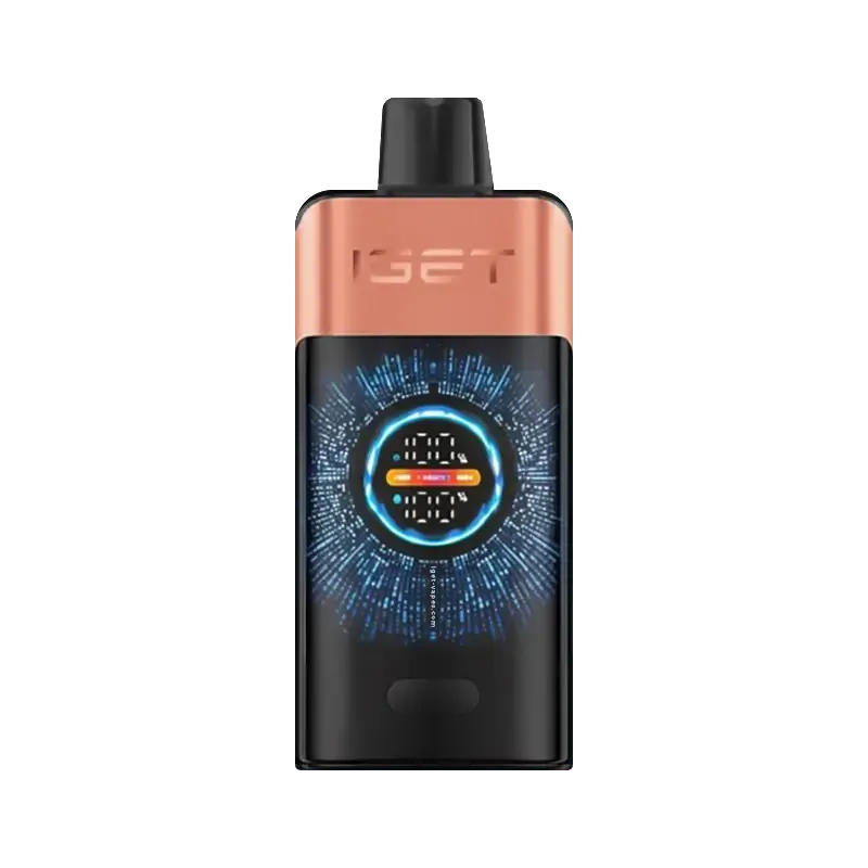 IGET ONE 12000 puffs - Blueberry Raspberry-XE Vape