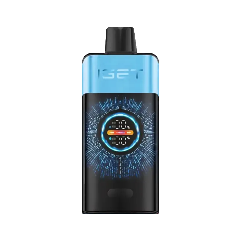 IGET ONE 12000 puffs - Blueberry Ice-XE Vape