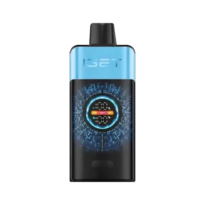 IGET ONE 12000 puffs - Blueberry Ice-XE Vape