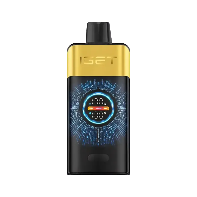 IGET ONE 12000 puffs - Kiwi Pineapple-XE Vape