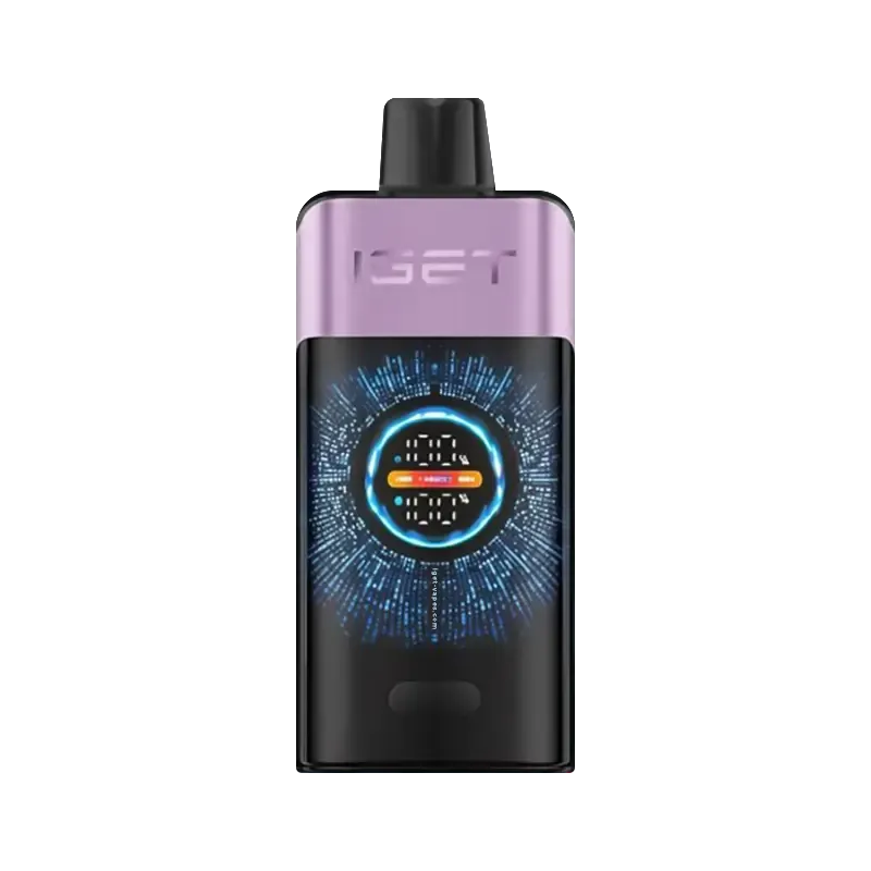 IGET ONE 12000 puffs - Mixed Berries Ice-XE Vape