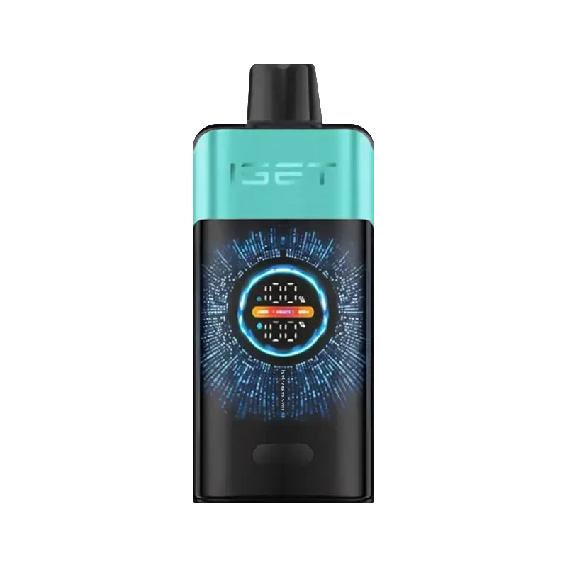 IGET ONE 12000 puffs - Mountain Spring Mint Ice-XE Vape