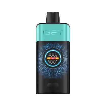 IGET ONE 12000 puffs - Mountain Spring Mint Ice-XE Vape